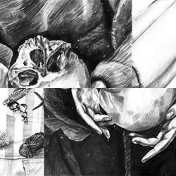 ATTENDENT, installation 1